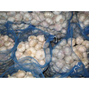 2015 Nouvelle cueillette Fresh Normal White Garlic